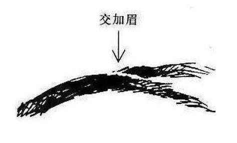 正规的婚姻调查公司-扫帚眉男人的婚姻命运不顺婚姻坎坷